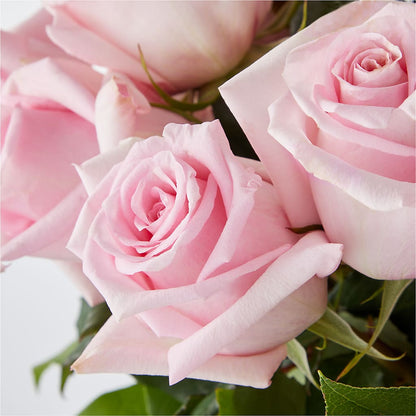Picture Perfect Pink Rose Bouquet –  Floristo Bermeo Ii, Big Lake MN