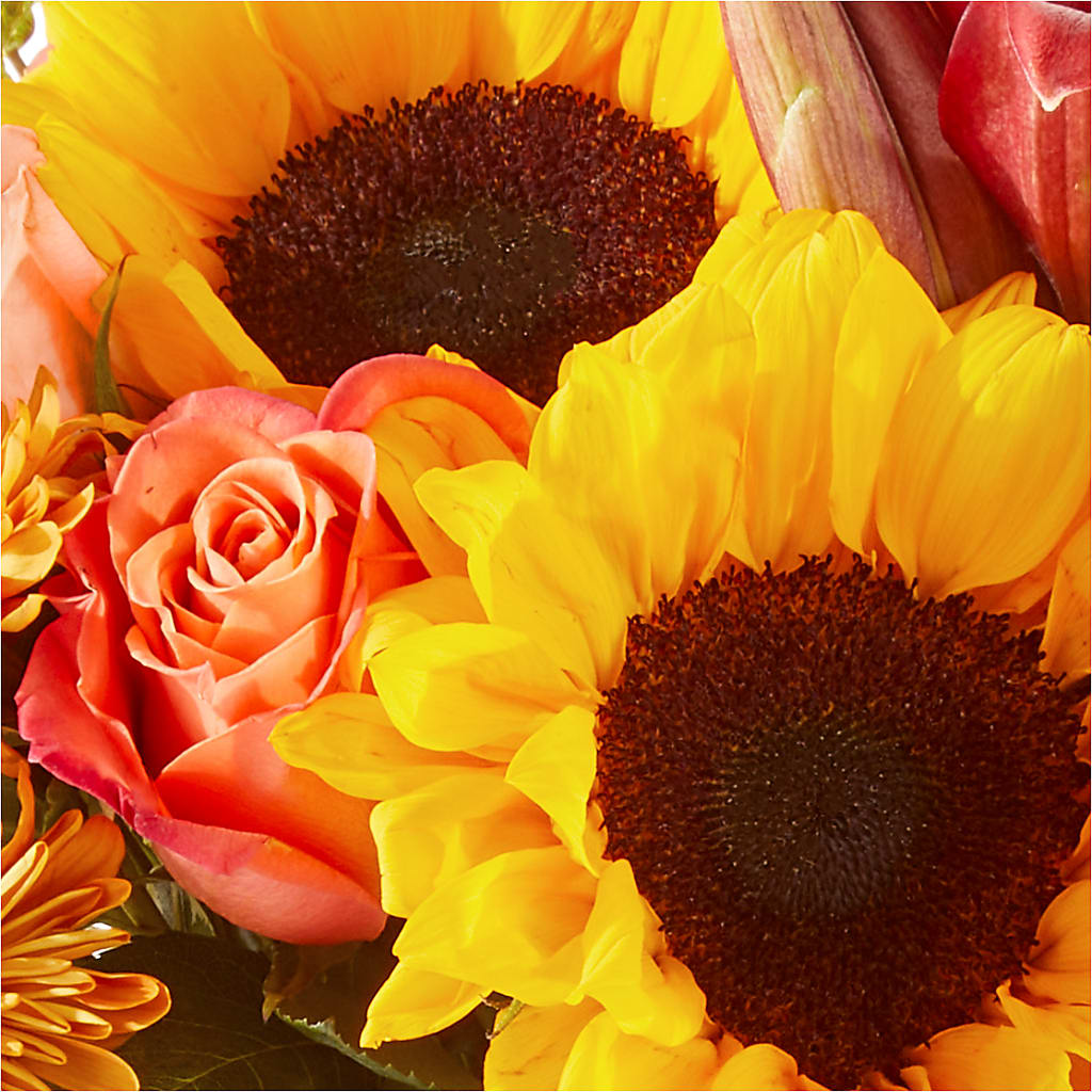 Acorn Lane Bouquet –  Floristo Bermeo Ii, Big Lake MN