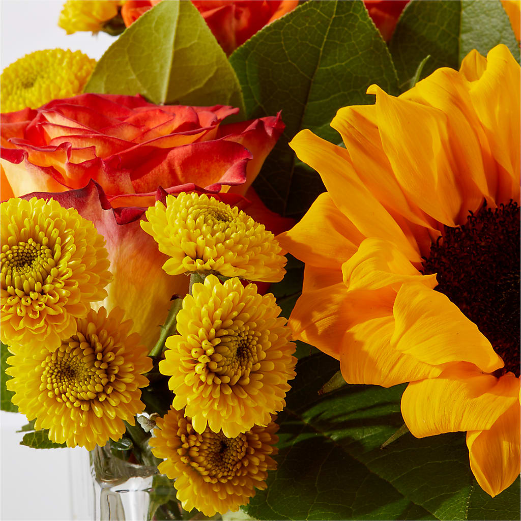 Picnic in the Park Bouquet –  Floristo Bermeo Ii, Big Lake MN