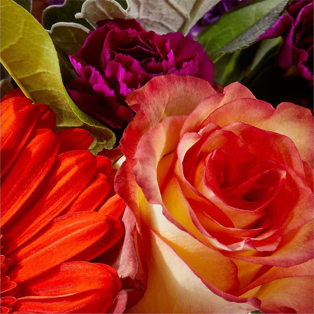 Sangria Bouquet –  Floristo Bermeo Ii, Big Lake MN