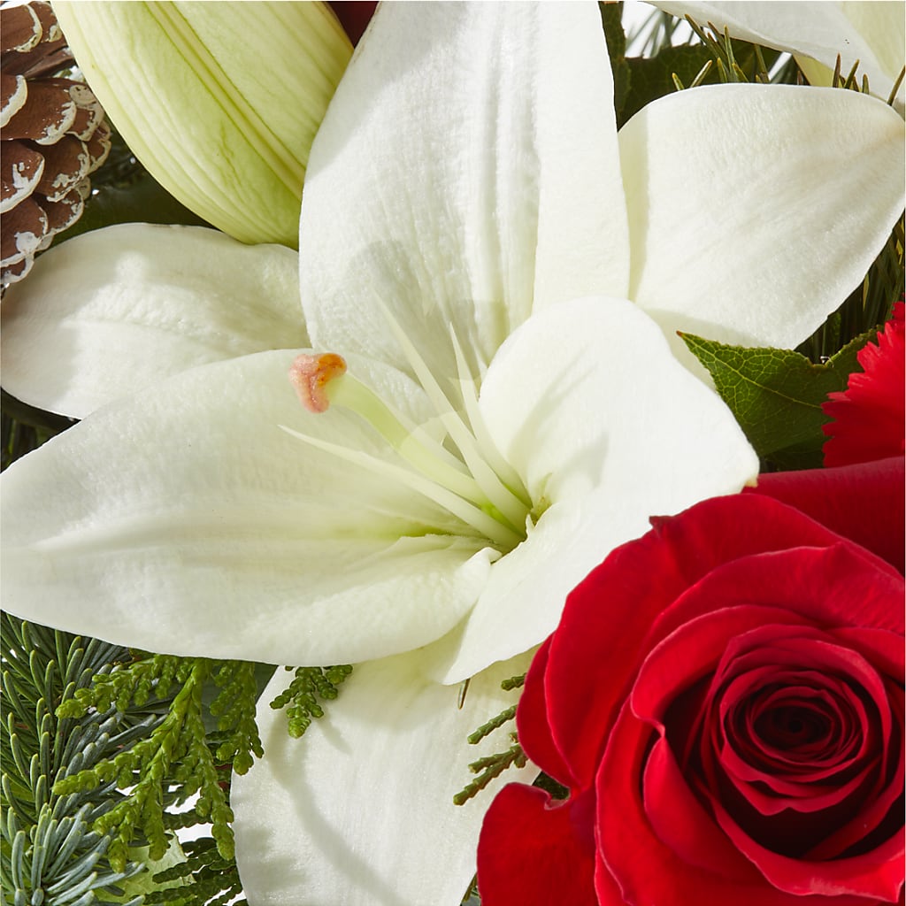 Oh So Jolly Bouquet –  Floristo Bermeo Ii, Big Lake MN