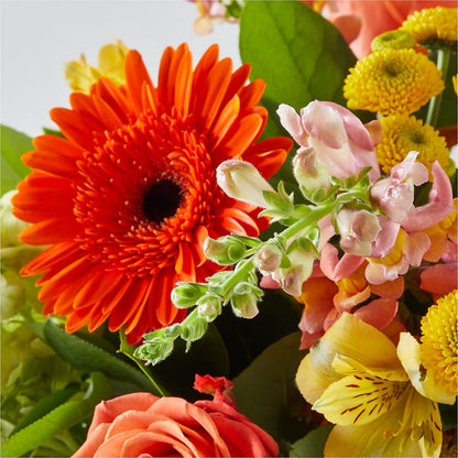 Autumn Sunshine Bouquet –  Floristo Bermeo Ii, Big Lake MN
