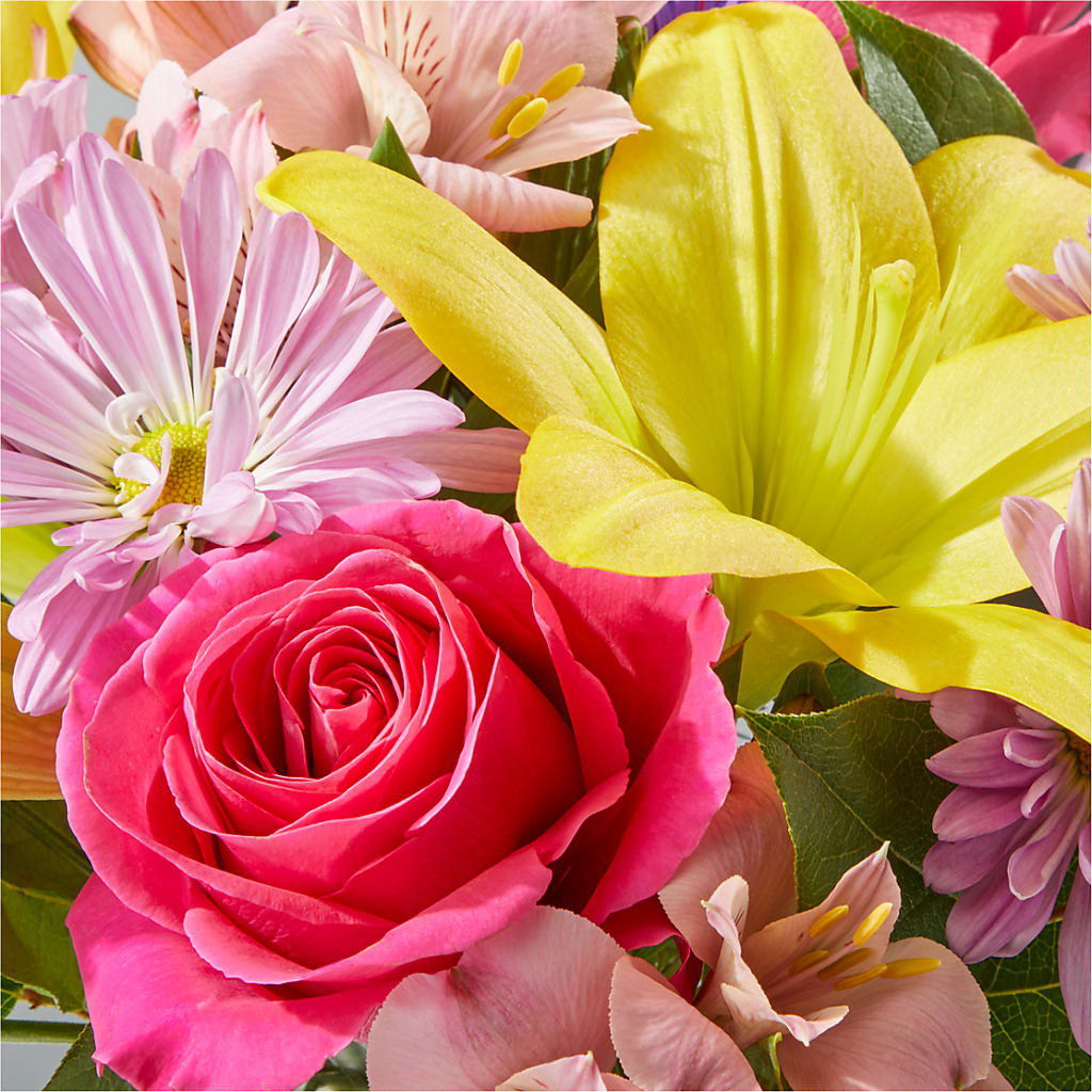 Sprinkles Bouquet –  Floristo Bermeo Ii, Big Lake MN