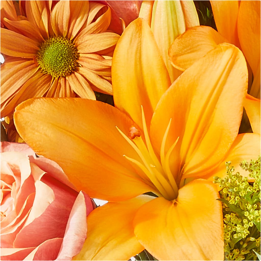 Harvest Hayride Bouquet –  Floristo Bermeo Ii, Big Lake MN