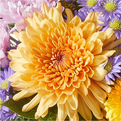 Countryside Bouquet –  Floristo Bermeo Ii, Big Lake MN