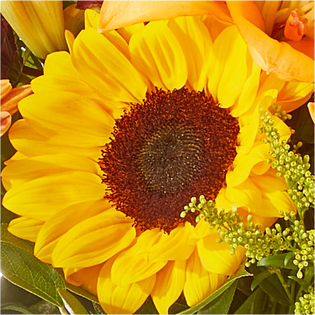 Seasons Change Bouquet –  Floristo Bermeo Ii, Big Lake MN