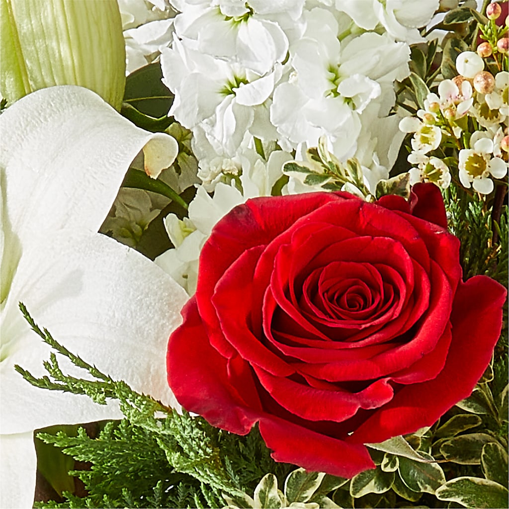 Twinkle Lights Bouquet –  Floristo Bermeo Ii, Big Lake MN