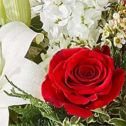 Twinkle Lights Bouquet –  Floristo Bermeo Ii, Big Lake MN