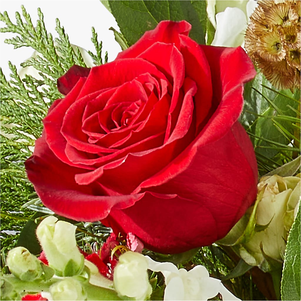 Deck the Halls Bouquet –  Floristo Bermeo Ii, Big Lake MN