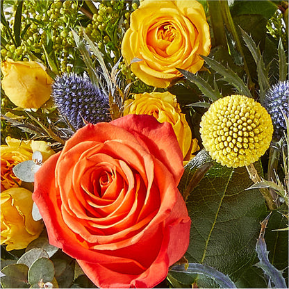 Disco Bouquet –  Floristo Bermeo Ii, Big Lake MN