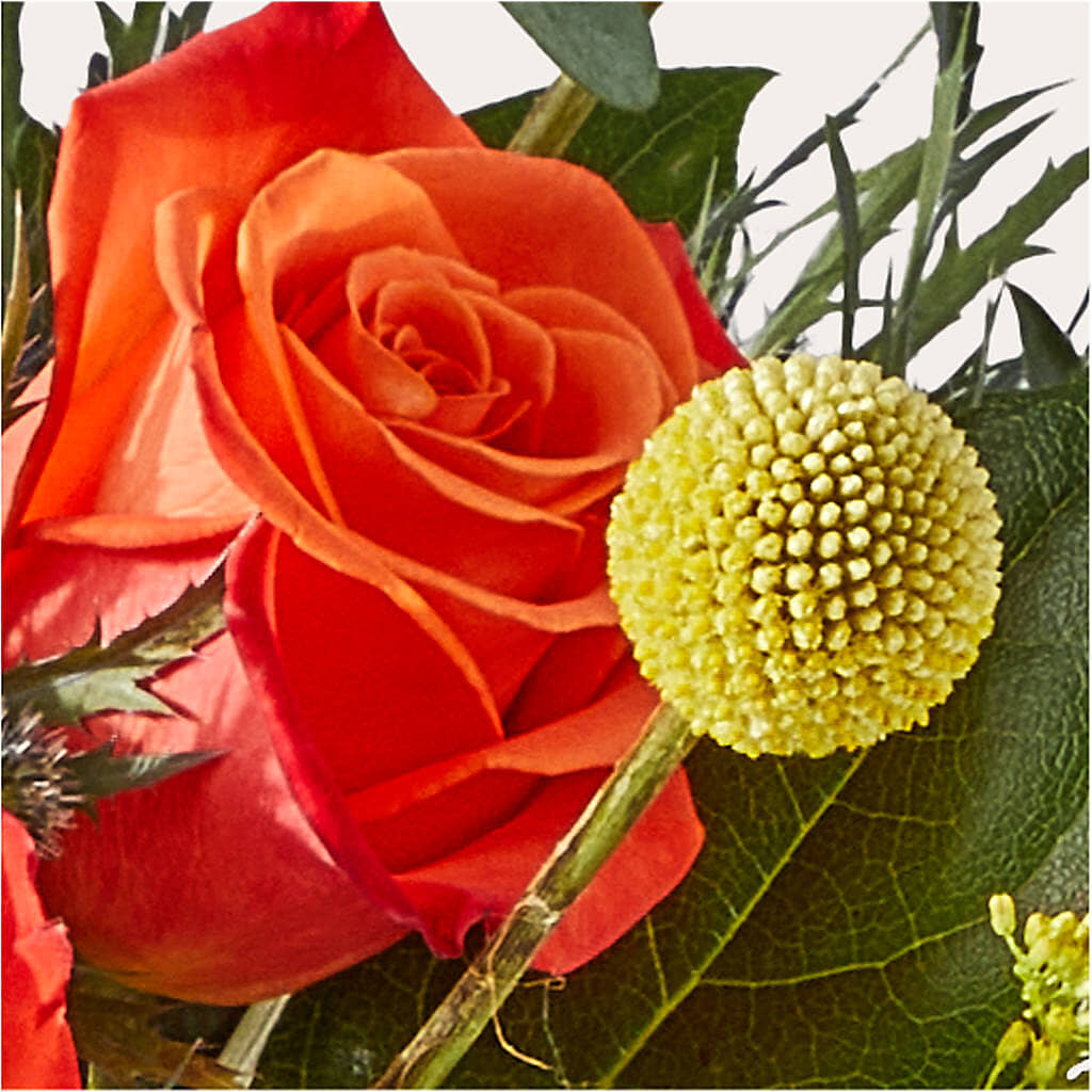 Disco Bouquet –  Floristo Bermeo Ii, Big Lake MN