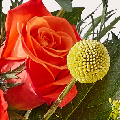 Disco Bouquet –  Floristo Bermeo Ii, Big Lake MN