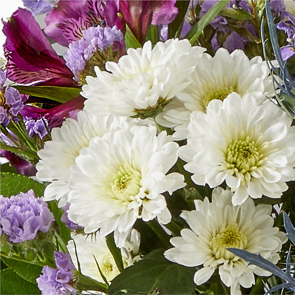 Shooting Star Bouquet –  Floristo Bermeo Ii, Big Lake MN