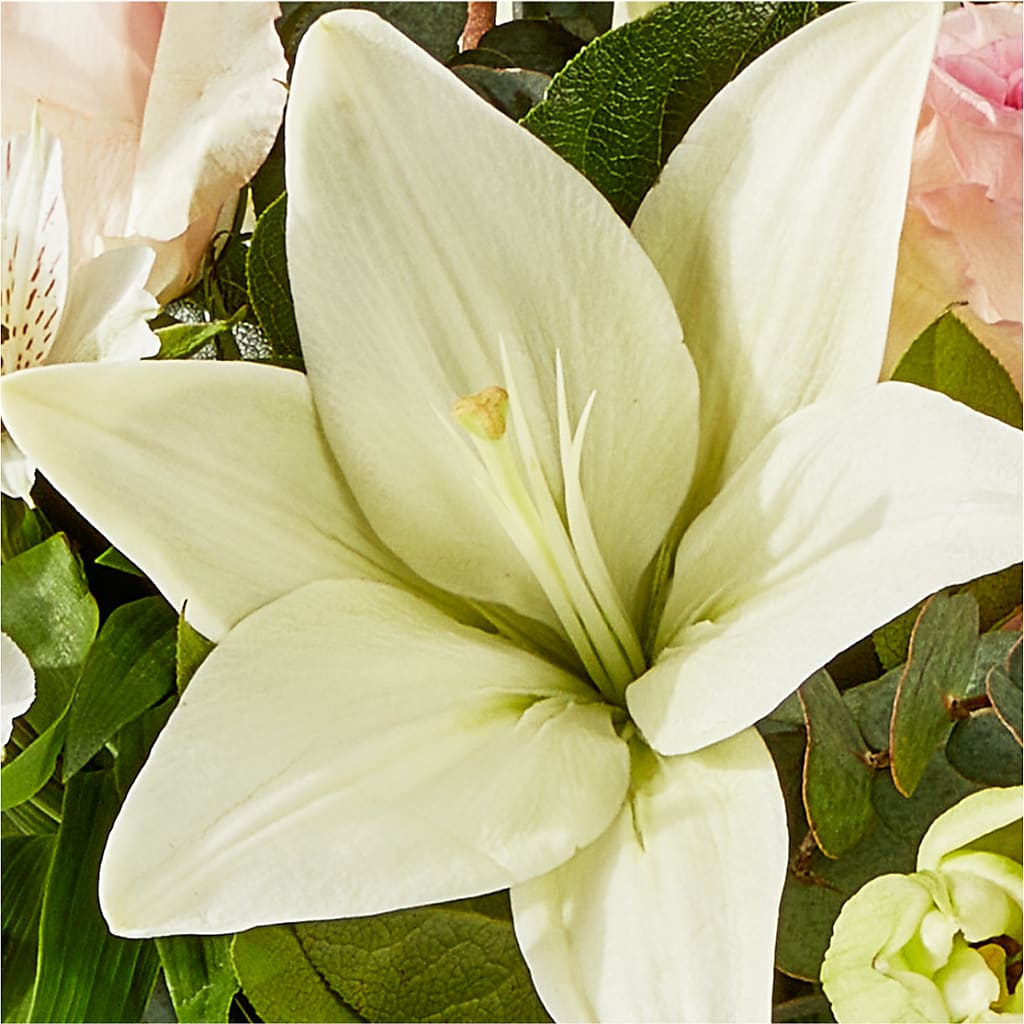 Ballet Slippers Bouquet –  Floristo Bermeo Ii, Big Lake MN
