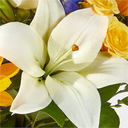 Wonderfully Sunny Bouquet –  Floristo Bermeo Ii, Big Lake MN