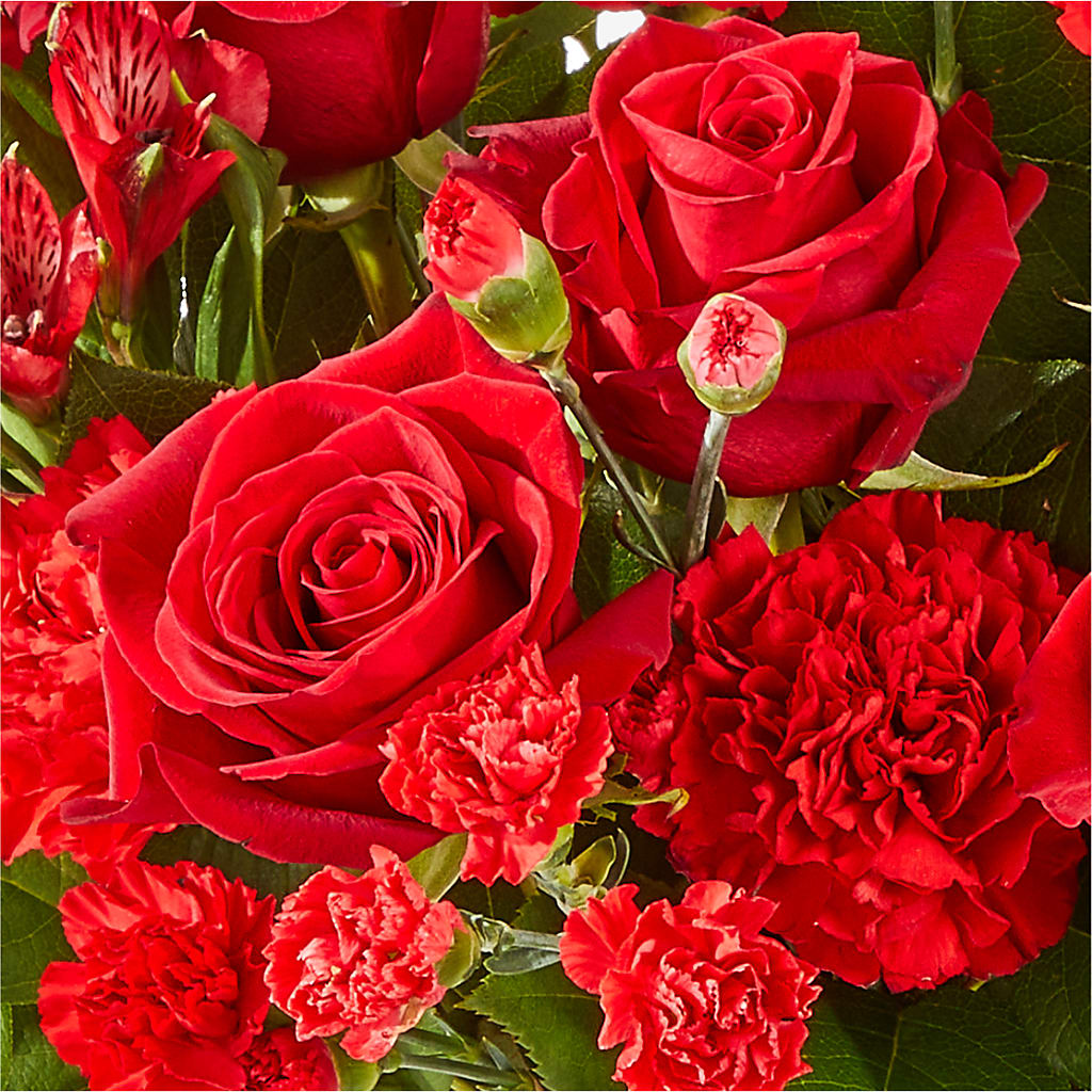 The Heartstrings Bouquet –  Floristo Bermeo Ii, Big Lake MN