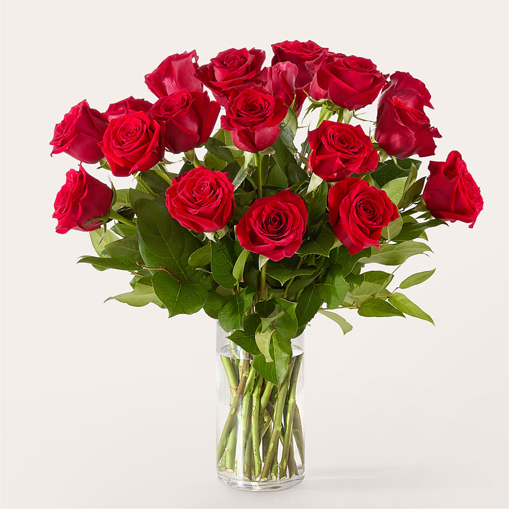 The One Red Rose Bouquet –  Floristo Bermeo Ii, Big Lake MN