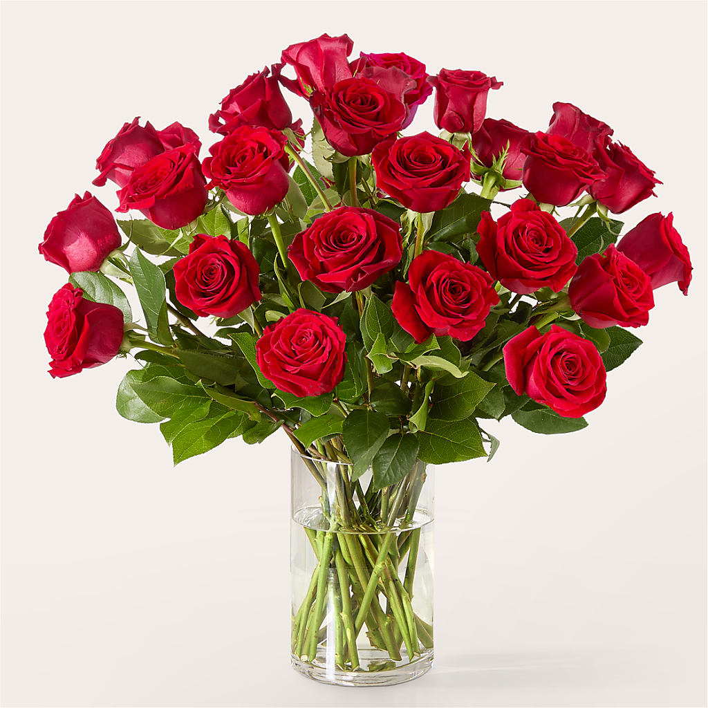 The One Red Rose Bouquet –  Floristo Bermeo Ii, Big Lake MN