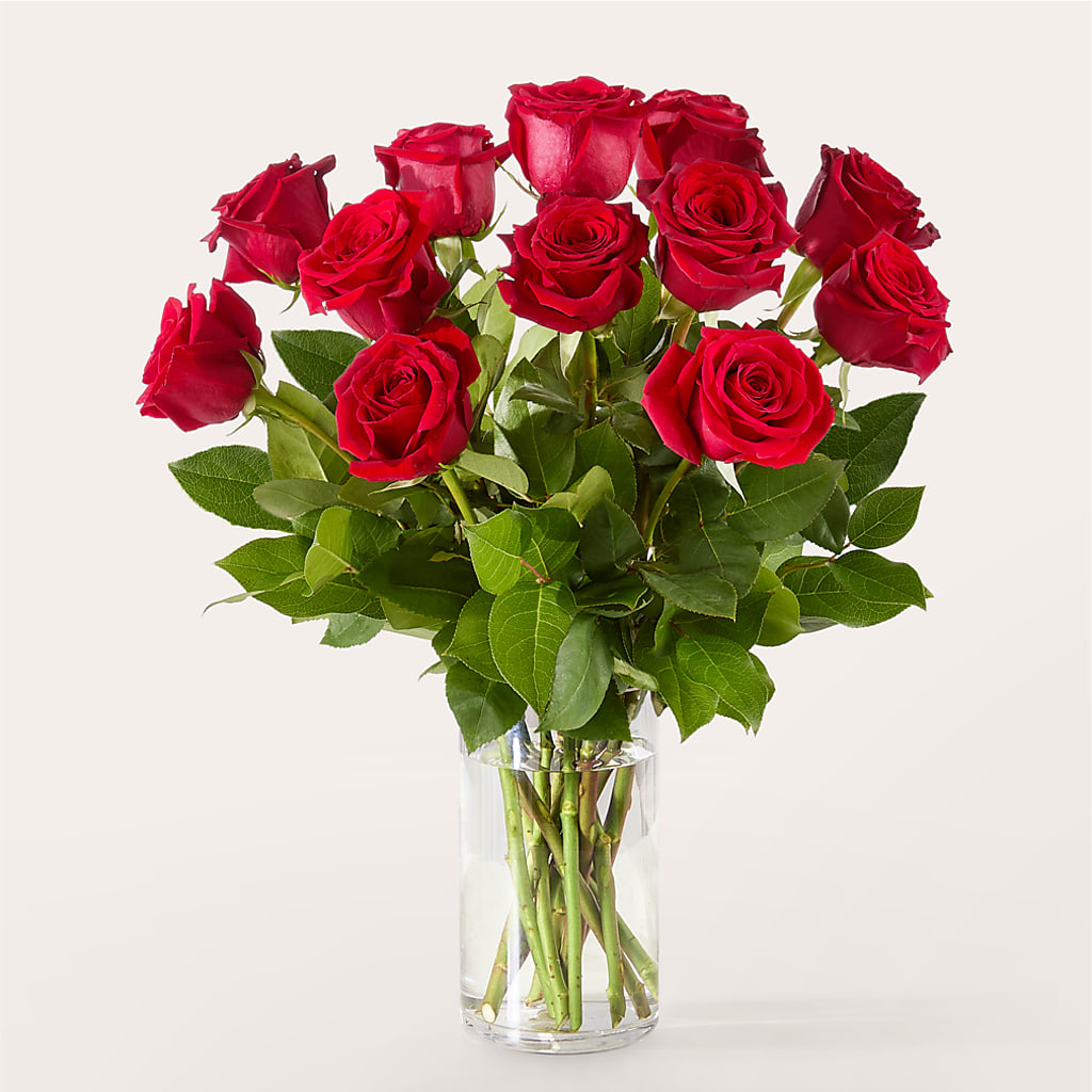 The One Red Rose Bouquet –  Floristo Bermeo Ii, Big Lake MN