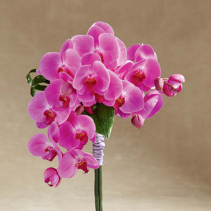 Glorious Bouquet –  Floristo Bermeo Ii, Big Lake MN