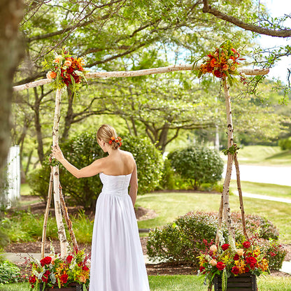 Arbor of Love Archway –  Floristo Bermeo Ii, Big Lake MN