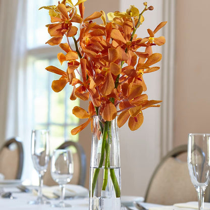Orange Mokara Bud Vase –  Floristo Bermeo Ii, Big Lake MN