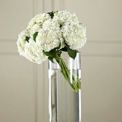 White Hydrangea Hand-Tied Bouquet –  Floristo Bermeo Ii, Big Lake MN