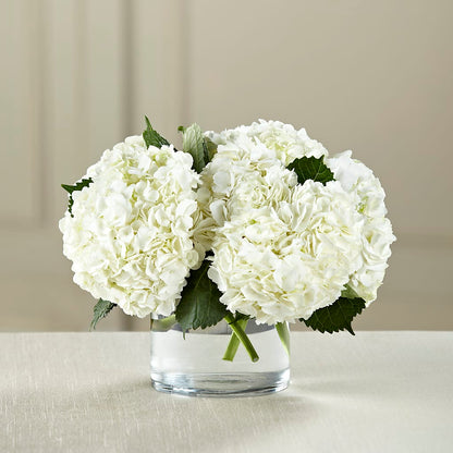 White Hydrangea Bouquet –  Floristo Bermeo Ii, Big Lake MN