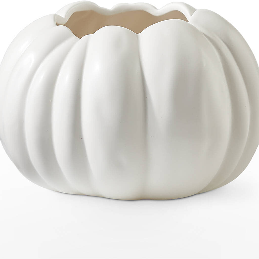 Pumpkin to Talk About Bouquet –  Floristo Bermeo Ii, Big Lake MN
